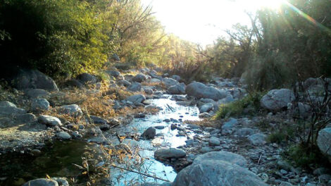 San Luis: Activación del arroyo piedras blancas